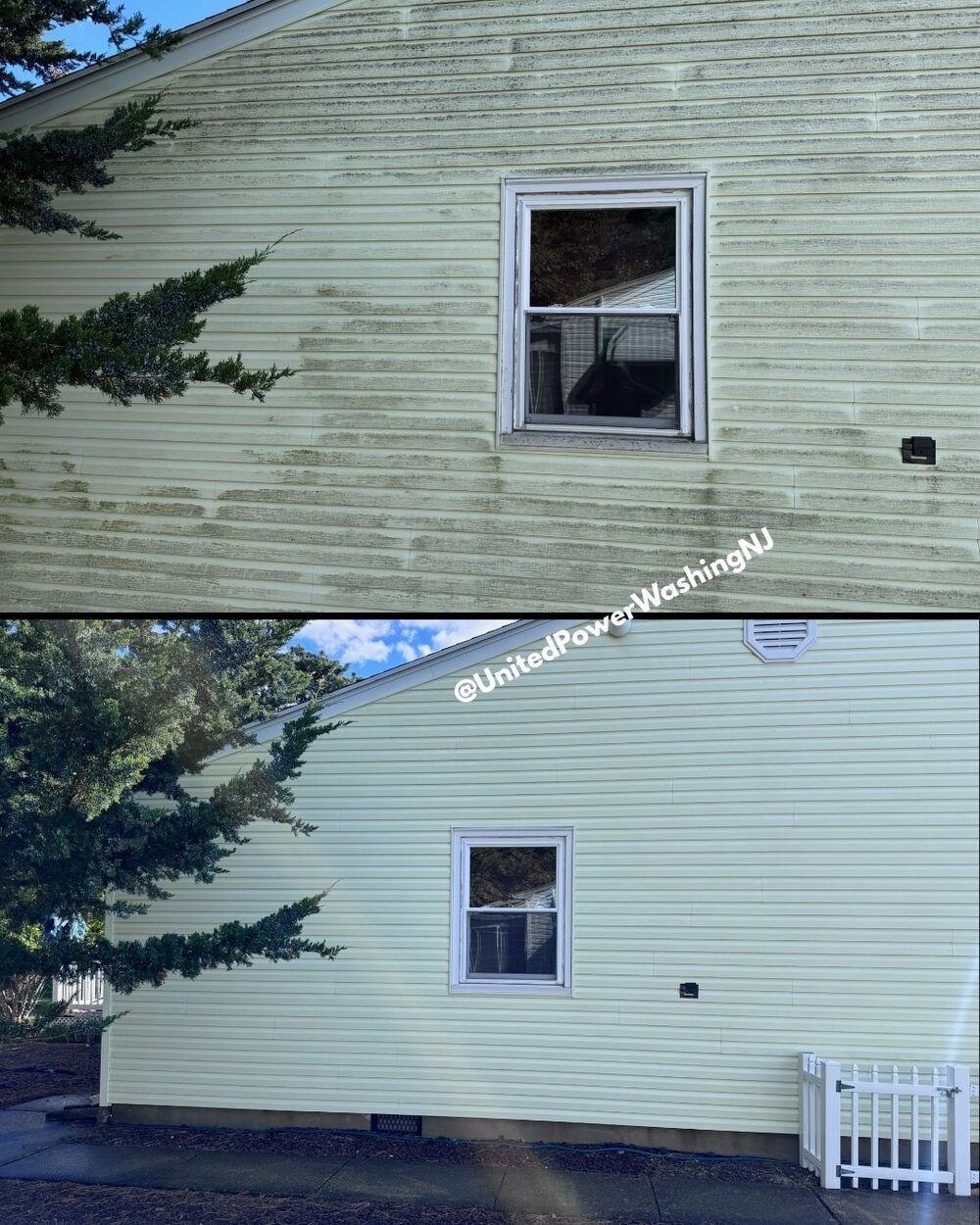 Siding mold & algae removal
